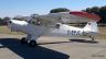 Cub do CVL - (Mogadouro, Mar 2012)
